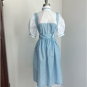 Wizard of Oz Dorothy costume by Halloween Costumes.